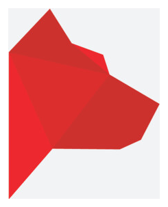 Fidelidade Pay logo